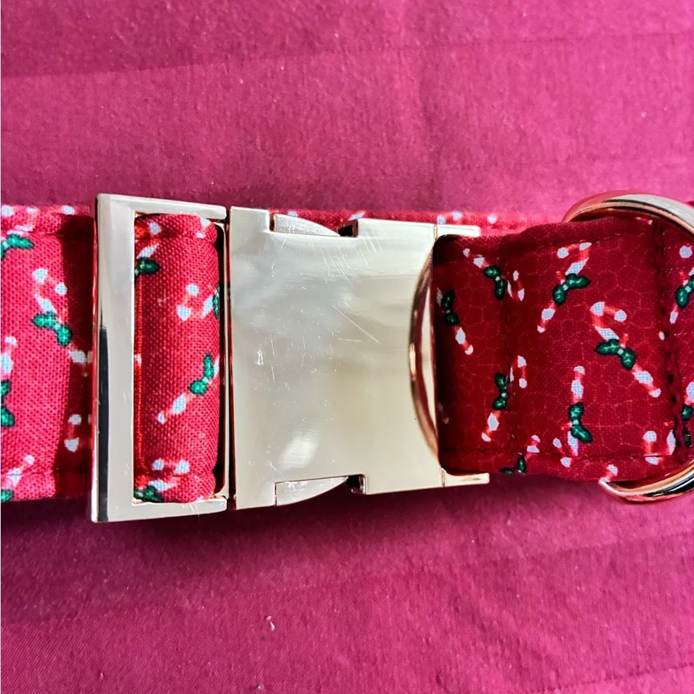 Lionet Paws Christmas Candy Cane Dog Collar & Bow Tie Set